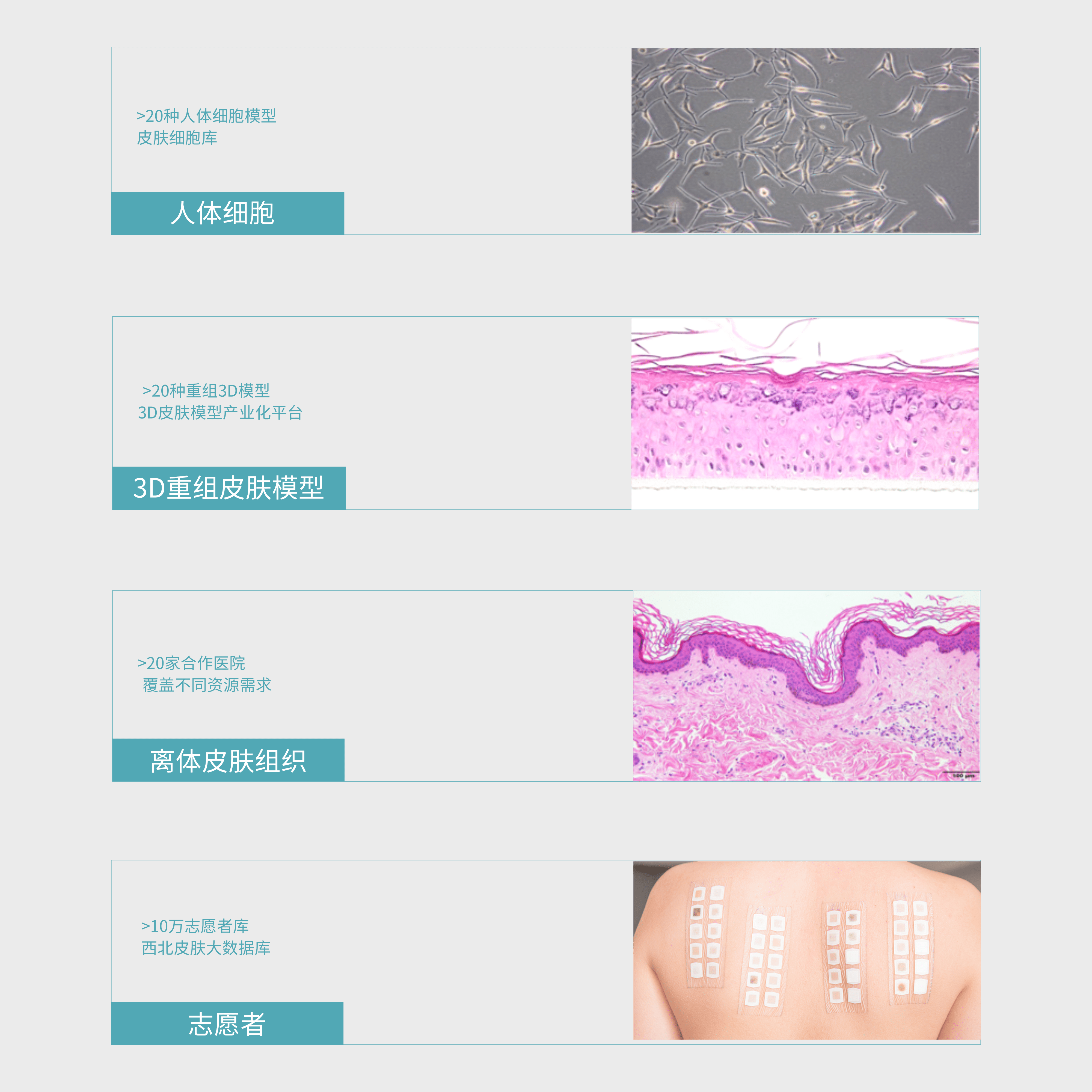 [副本]官網 檢測方法.png